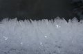 Winter 13.01.09 028